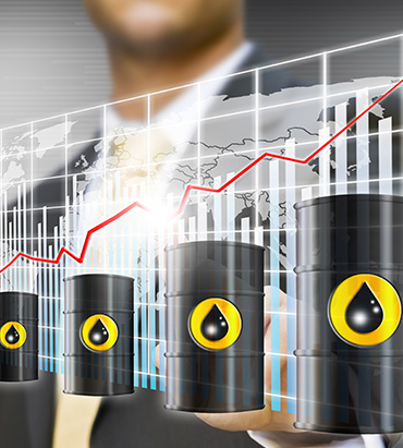 Ankara Toptan Akaryakıt-Şirketi Vizyon